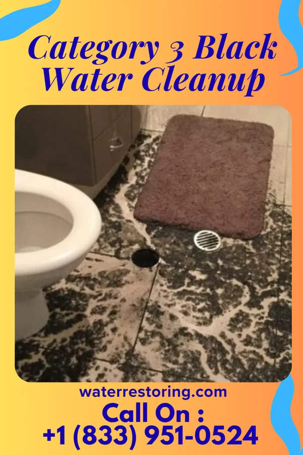Category 3 Black Water Cleanup in Centerburg, OH