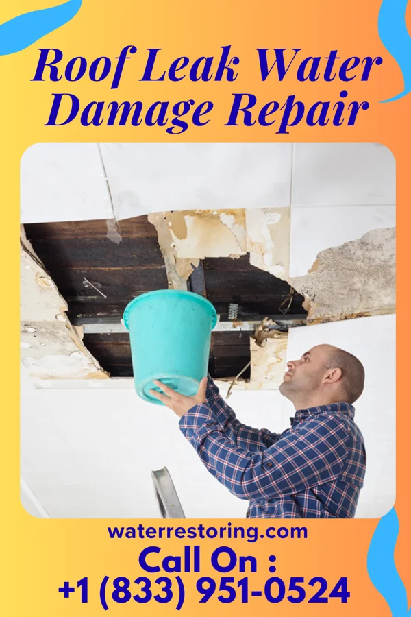 Roof Leak Water Damage Repair in Centerburg, OH