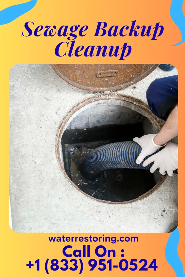 Sewage Backup Cleanup in Centerburg, OH