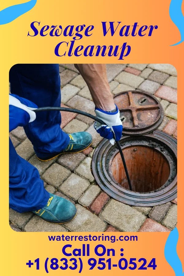 Sewage Water Cleanup in Centerburg, OH