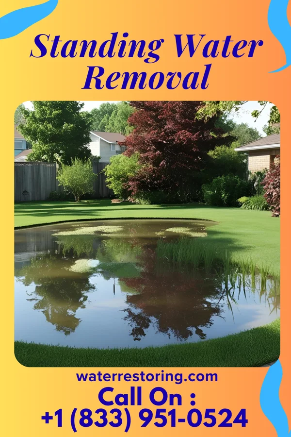 Standing Water Removal in Centerburg, OH